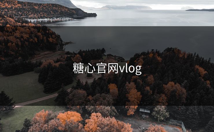 糖心官网vlog