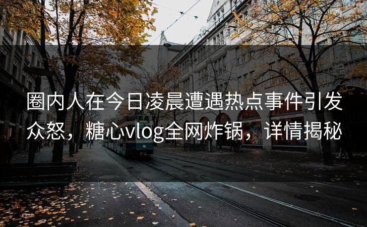 圈内人在今日凌晨遭遇热点事件引发众怒，糖心vlog全网炸锅，详情揭秘