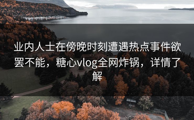 业内人士在傍晚时刻遭遇热点事件欲罢不能，糖心vlog全网炸锅，详情了解